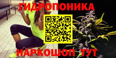 таблы Кингисепп