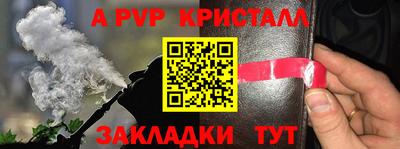 таблы Кингисепп