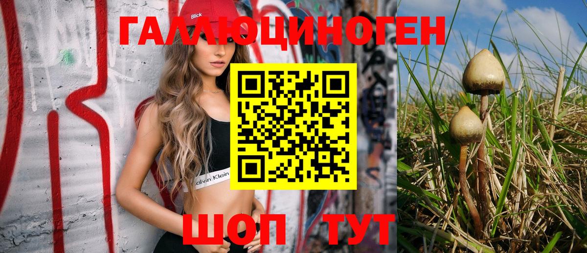 Псилоцибиновые грибы Psilocybine cubensis Ирбит