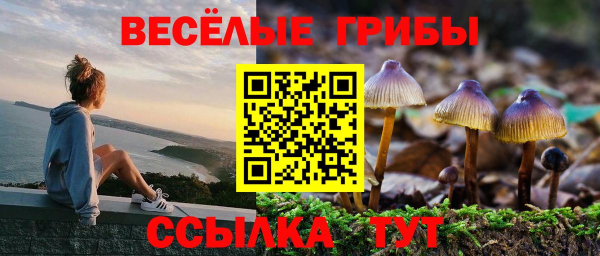 Ирбит  Псилоцибиновые грибы GOLDEN TEACHER  купить наркоту  Галлюциногенные грибы GOLDEN TEACHER  Вход с VPN 